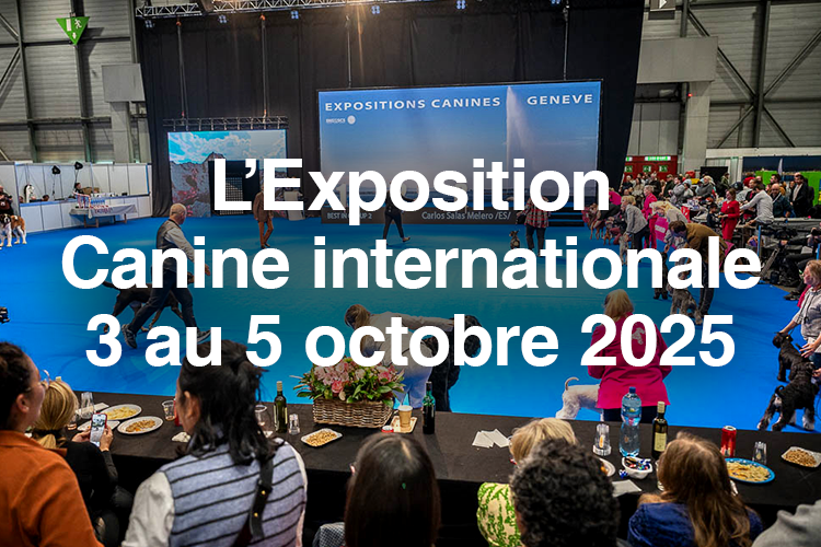 expo canine internationale 2025
