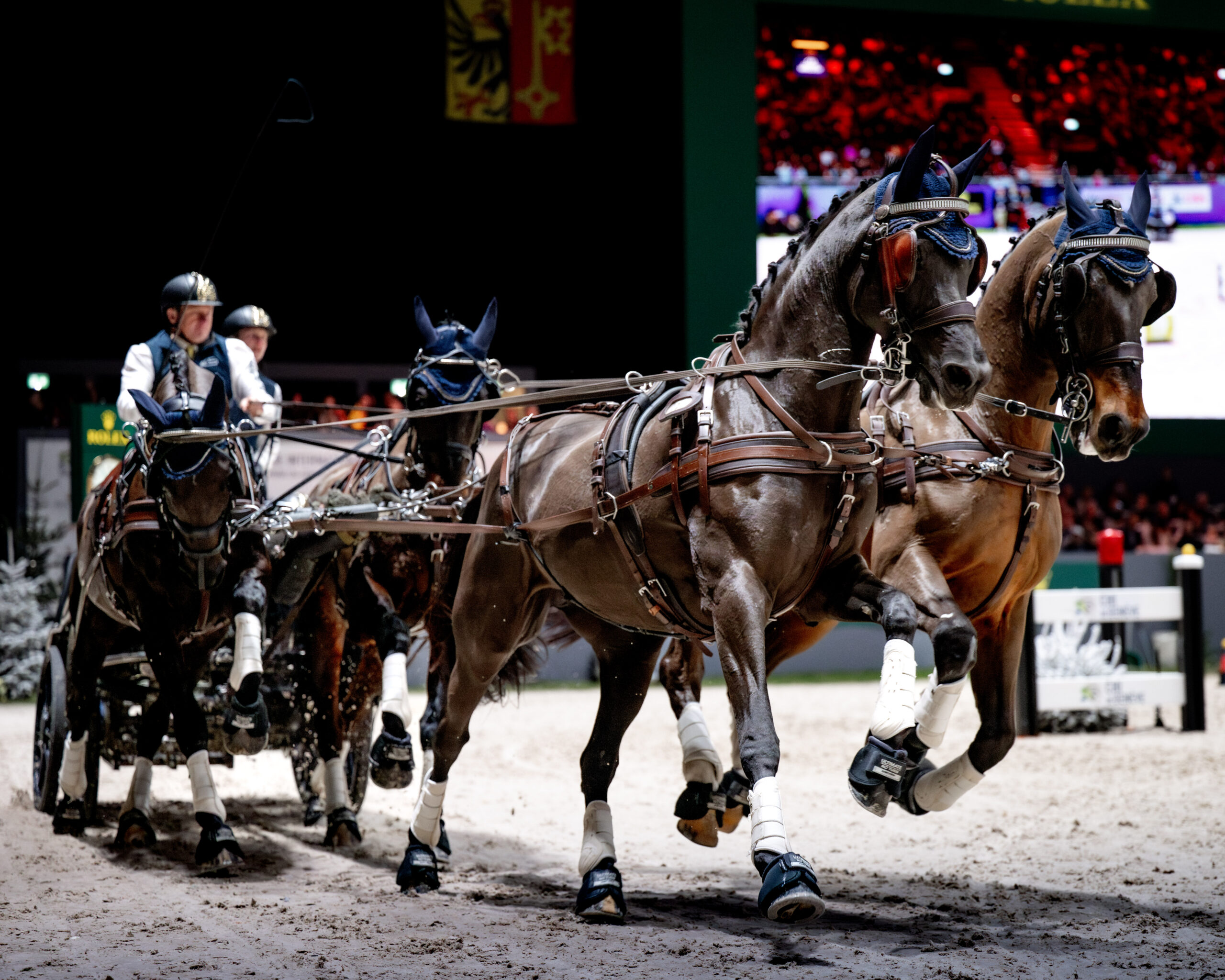 CHIG, attelage ©HelenCruden, 2024 - Palexpo